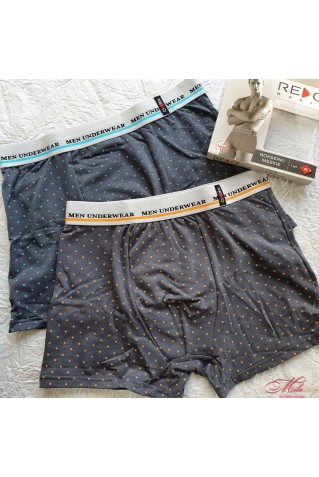 Мужские трусы-боксеры из хлопка c мягкой спортивной резинкой Redo 1BE-594_K2